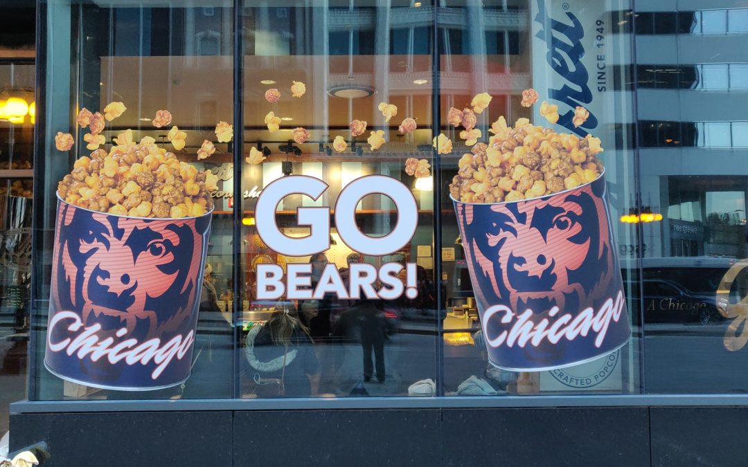 Bears Windows Graphics