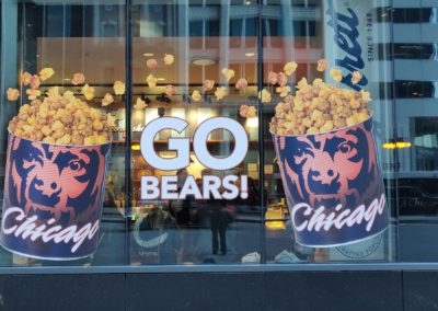 Bears Windows Graphics